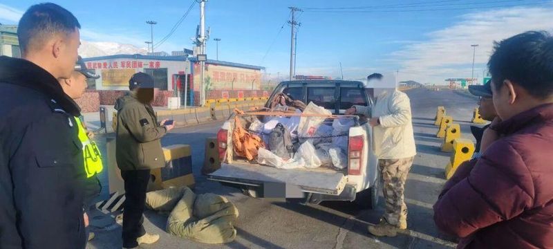  高原矿区风云突变，海西公安雷霆出击；6处窝点被端，122名涉案者落网。 新闻