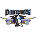 凯撒谈福建逆转北京:团结铸就关键时刻的辉煌。 体育新闻