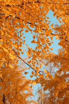  金价出现明显波动；黄金相关产品遭遇资金调整；市场关注后续演变。 股票财经 金价出现明显波动；黄金相关产品遭遇资金调整；市场关注后续演变。 股票财经