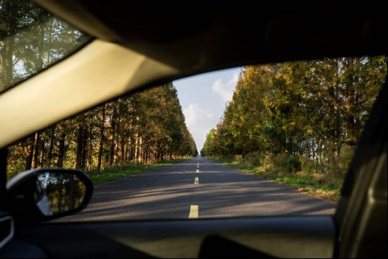  焦虑缓解：崇明东滩生活方式的重构与回归 房产家居