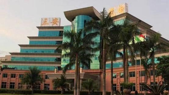  风暴中的韧性：芯片龙头的突围与技术进化之路 新闻