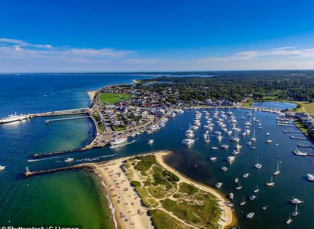 TN签证续签的深层逻辑：职业类别匹配与边境核查的实战指南