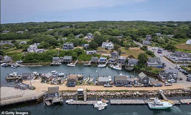 TN签证续签的深层逻辑:职业类别匹配与边境核查的实战指南 企业服务