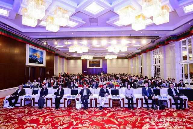 职教改革深水区：“家政+养老”专业群如何重塑产教融合新范式