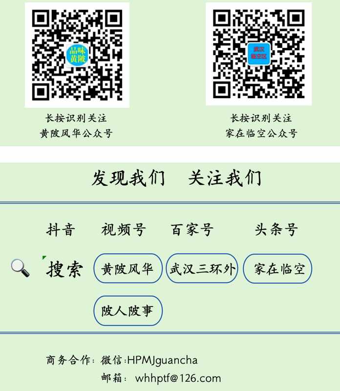  武汉省级开发区深度对比：阳逻与盘龙城的规划基因差异解析 房产家居