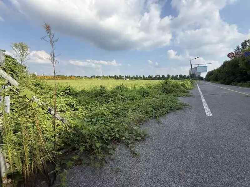  等了五年的大城梦：富力科创城最后一块拼图的命运时刻 新闻