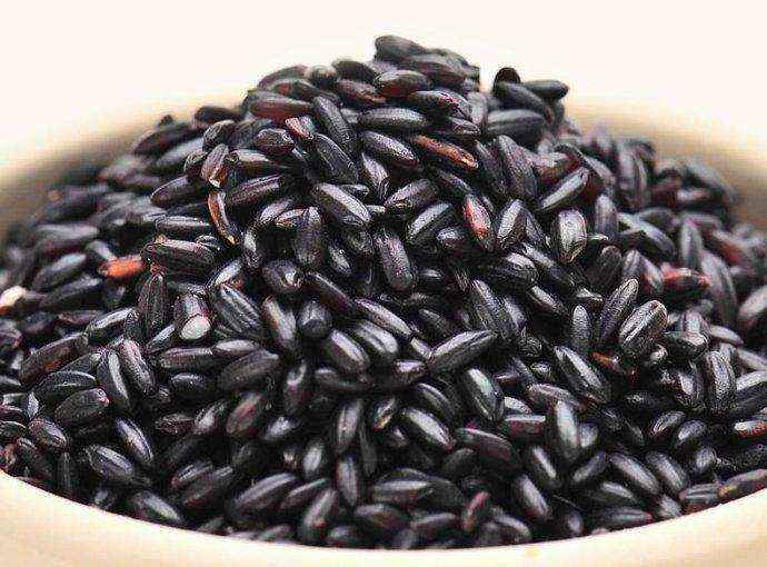  从《Nature Aging》到餐桌：黑米延寿机制的全链路拆解 健康养生