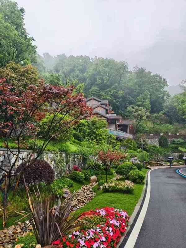  技术深度解码：温州园博会重庆园如何用「折叠」逻辑重构立体园林美学 文化旅游