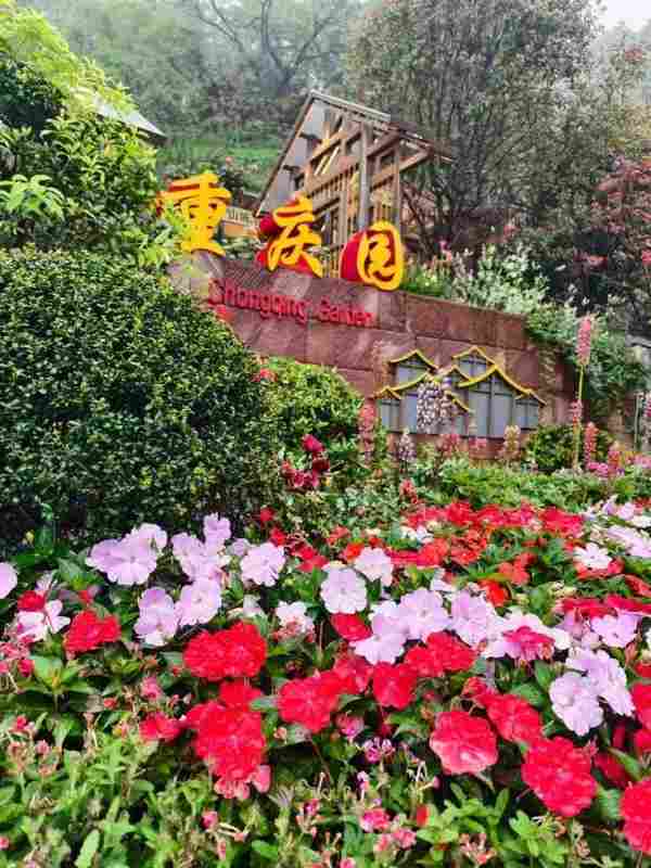  技术深度解码：温州园博会重庆园如何用「折叠」逻辑重构立体园林美学 文化旅游