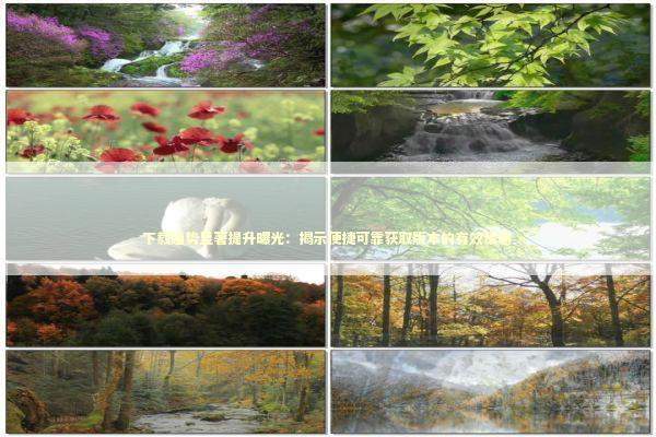 下载趋势显著提升曝光：揭示便捷可靠获取版本的有效策略 新闻