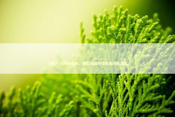 当那个人转身离去,我们该如何找回曾经的温度 当那个人转身离去,我们该如何找回曾经的温度 情感心理