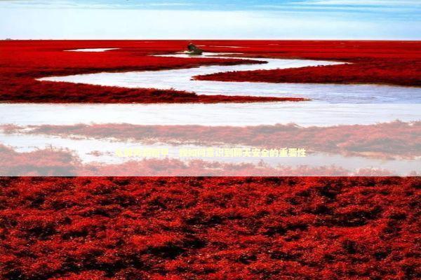 从裸奔到铠甲:我如何意识到聊天安全的重要性 从裸奔到铠甲:我如何意识到聊天安全的重要性 IT技术