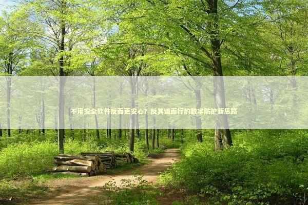 不用安全软件反而更安心？反其道而行的数字防护新思路 IT技术